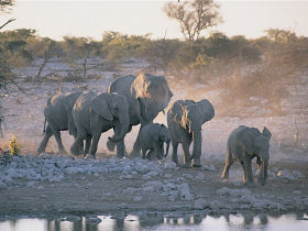 Family safari & desert adventure in Namibia