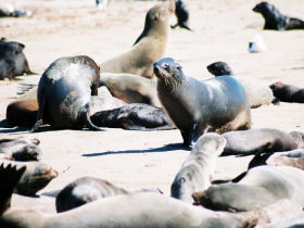 Family safari & desert adventure in Namibia