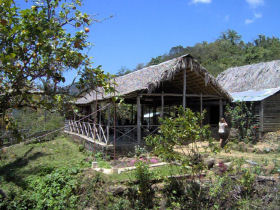 Cuba holiday, Salsa Cubana