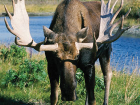 Canadian Rockies activity holiday