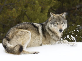 Canadian Rockies activity holiday
