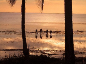 Tobago marine conservation project