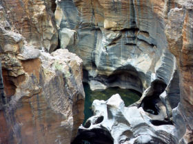 Safari & holiday to South Africa