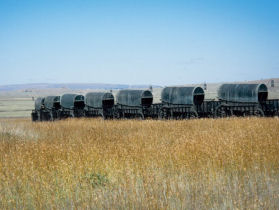 Safari & holiday to South Africa