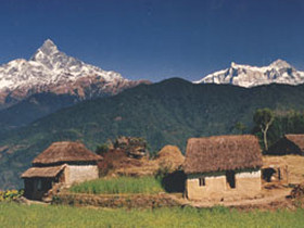 Annapurna trekking holiday, Rhododendron trek
