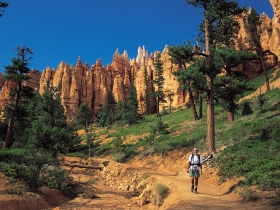 Small group camping holiday in America