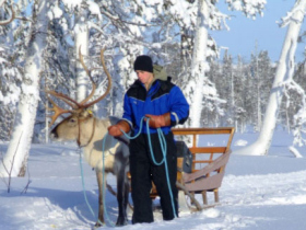 Winter activity holiday, Finnish Lapland