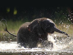 Botswana 