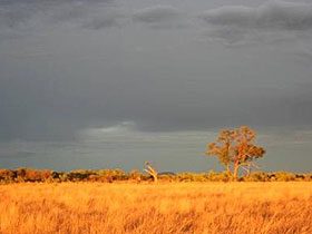 Botswana 