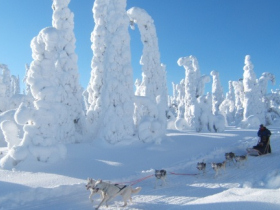 Finland family winter adventure holiday
