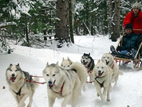 Winter short break in Swedish Lapland