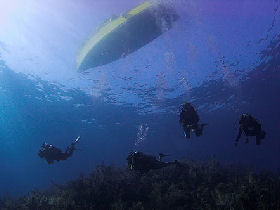 Marine