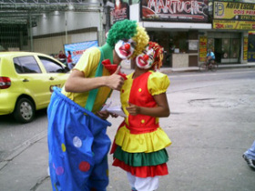 Volunteer projects in Brazil and Argentina