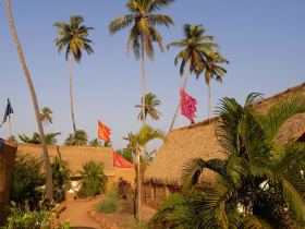 Yoga holiday in Goa