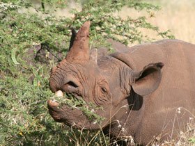 Kenya holiday, tailormade