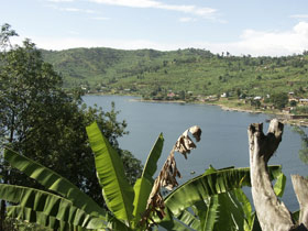 Gorilla safari & holiday in Rwanda, tailormade