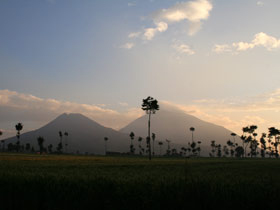 Gorilla safari & holiday in Rwanda, tailormade