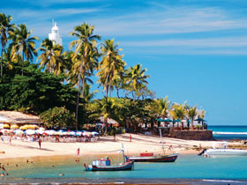 Small group family holiday to Brazil