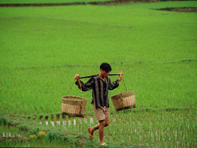 Family holiday in Vietnam