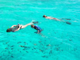 Egypt family holiday, deserts and reefs