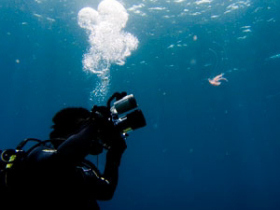 Liveaboard diving photography course, Greece