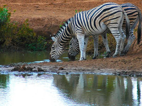 Botswana cycling tours