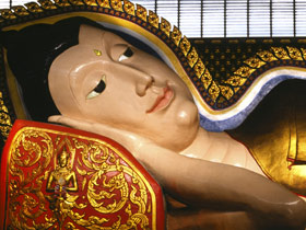 Wildlife and culture holiday in Malaysia