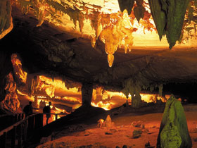 Wildlife and culture holiday in Malaysia