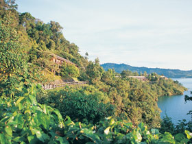 Wildlife and culture holiday in Malaysia