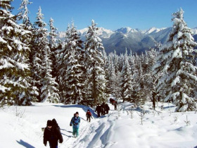 Tatra Mountains winter holiday