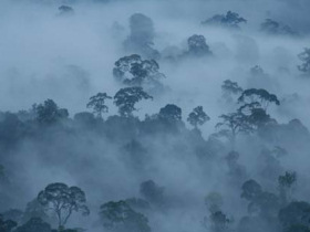 Gap year expedition in Borneo