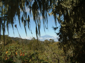 Meru and Kilimanjaro trekking holiday