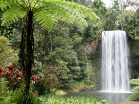 Queensland wildlife and adventure tours, Australia