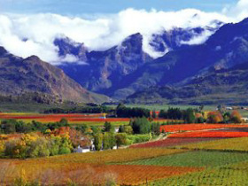 Western Cape gourmet tour of South Africa