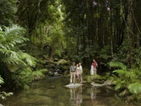 Private adventure tours in Queensland