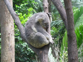 Private adventure tours in Queensland