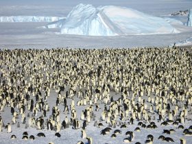 Antarctica