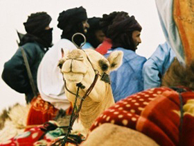 Festival of the Desert tour in Mali
