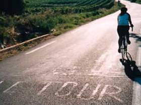 Provence self guided cycling holiday, Gastronomic