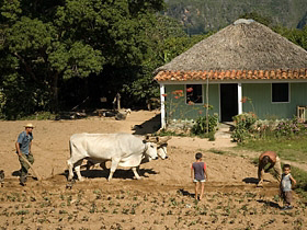 Tailor made walking & sightseeing tours in Cuba