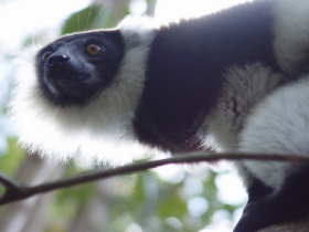 Trekking and rafting expedition in Madagascar