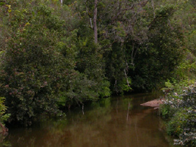 Trekking and rafting expedition in Madagascar