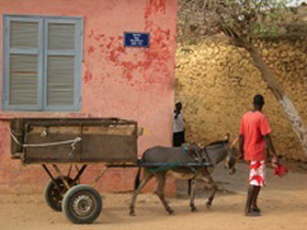 Senegal holiday, cruise and tour