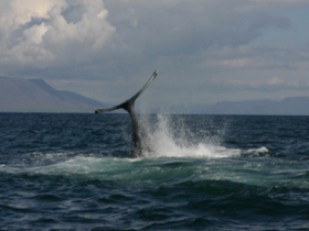 Iceland family activity holiday