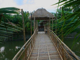 Tigers and rhinos tours in India