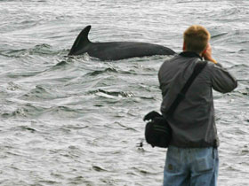 Family holidays in Scotland, nature activity & wildlife watching