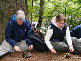 Family holidays in Scotland, nature activity & wildlife watching