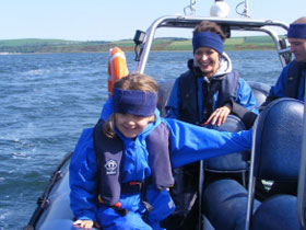 Scotland, dolphin and wildlife watching trips