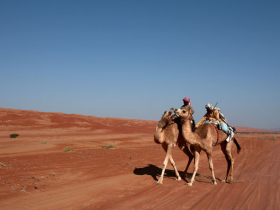 Small group holidays to Oman
