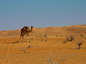 Oman holidays, small group tours